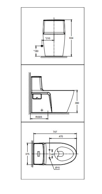 American Standard CL20075-6DASGCBT