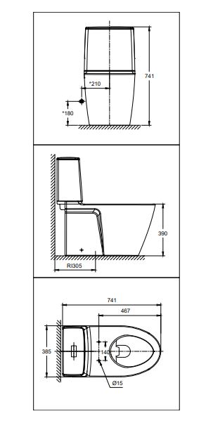 American Standard CL-23075-6DASGCBT